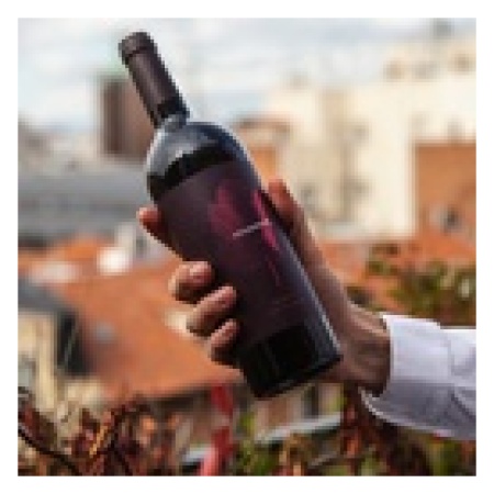 VEGAMAR Crianza 750ml